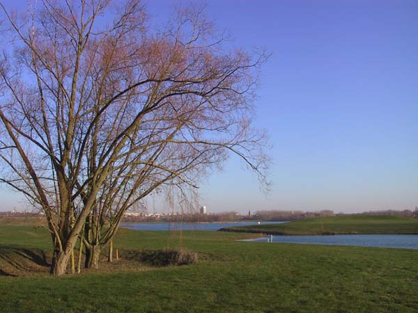 etangs de cergy