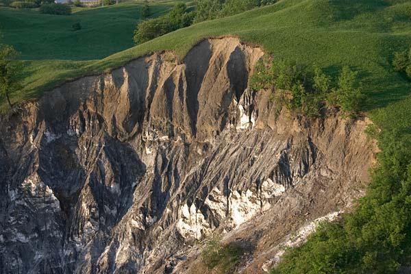 Sel, Plateau de Meledic, Monts de Buzau