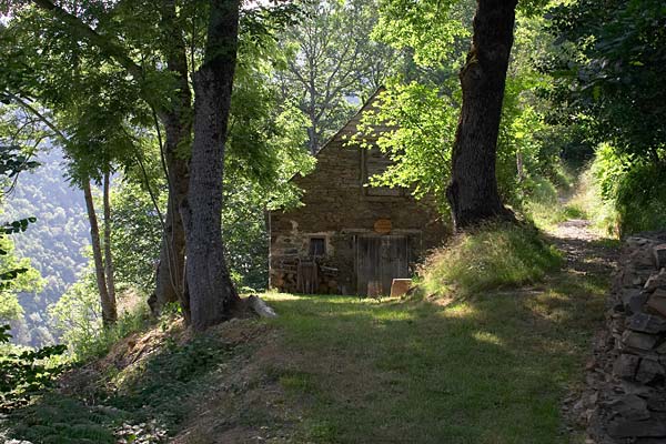 Hautes Pyrnes, chemin au dessus de Barrancoueu