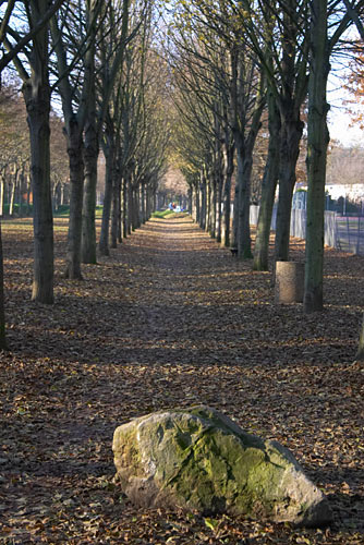  fin automne cergy 
