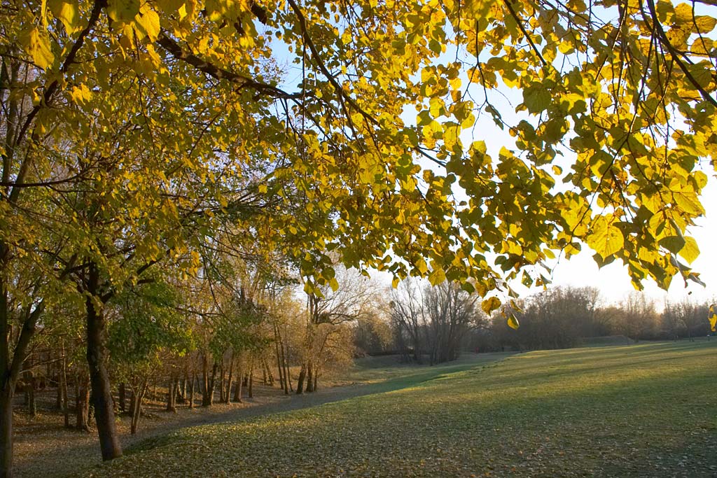  fin automne cergy 