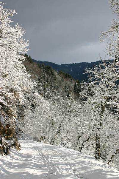 Chemin enneig, nuages et fort