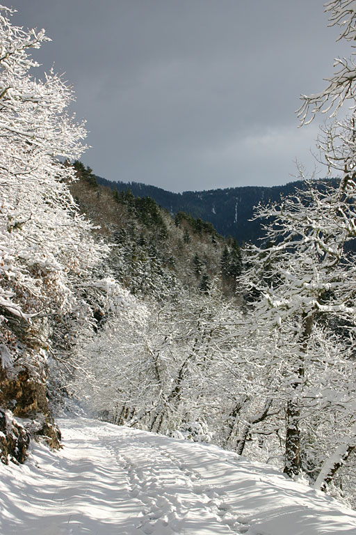 Valle d'Aure, Pyrnes, chemin enneig  Gouaux