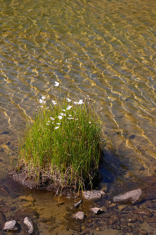 Vallon d'Estibre (Nouvielle), Lac de l'le