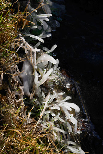 Nol en Valle d'Aure, glace prs du ruisseau