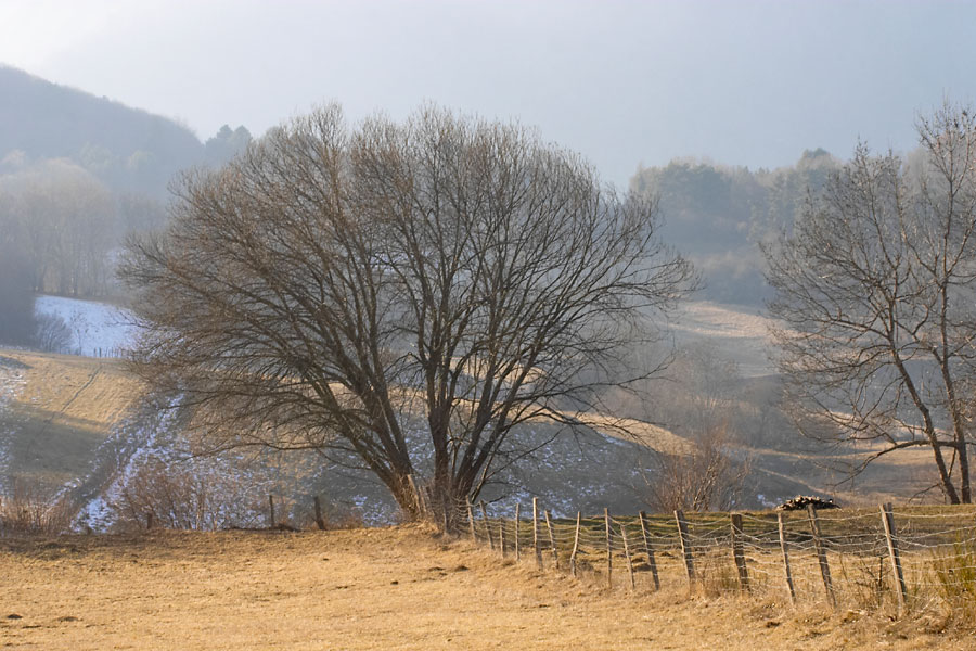 Nol en Valle d'Aure, prs  Lanon