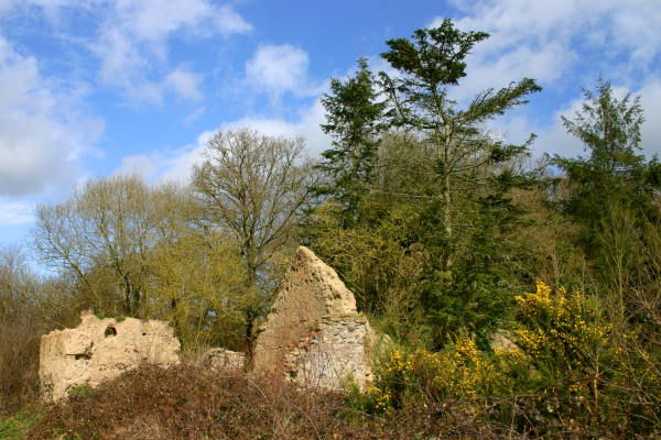 Ruine, Ctes d'Armor