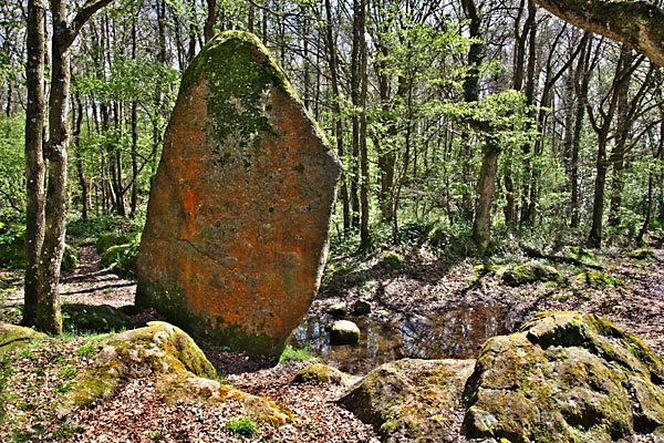 le menhir de Guihalon  Trgomar