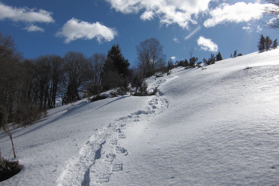 Tour du Val d'Azun, Trace de raquettes