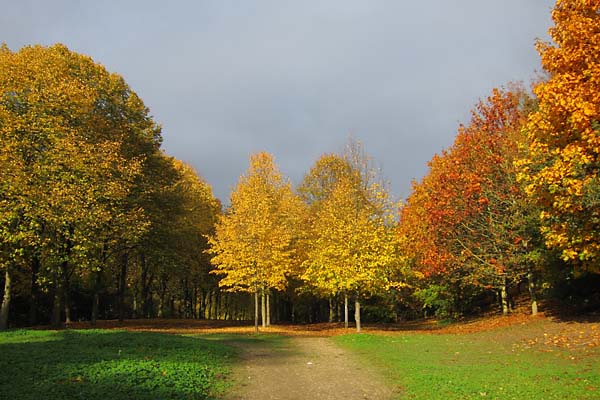 Automne