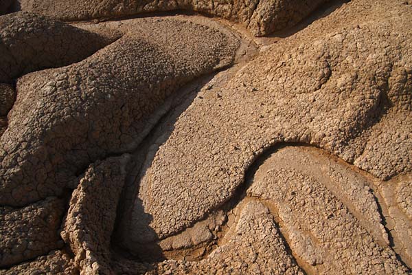 Bardenas Reales 2011, mandres