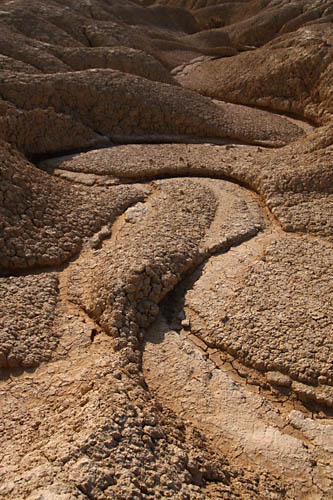 Bardenas Reales 2011, mandres