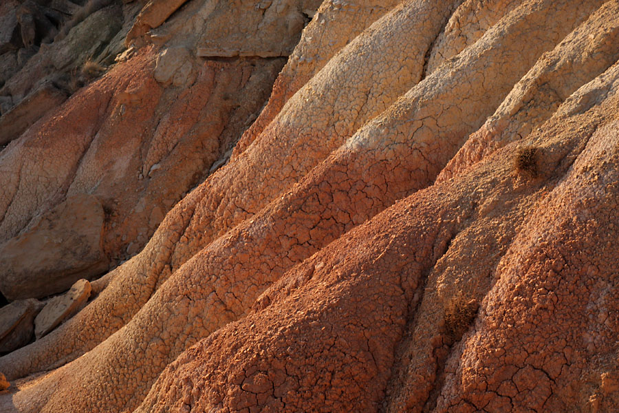 Bardenas Reales 2011, ocres