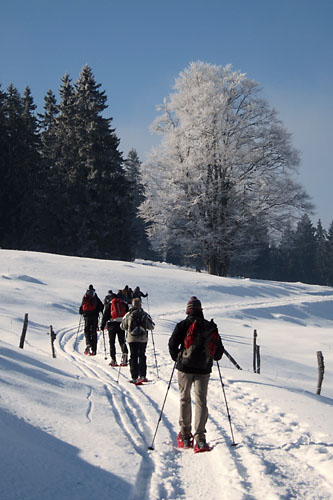 Traverse du Jura Franco-Suisse, Vers le Mont Tendre