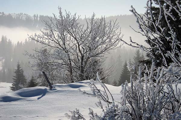 Traverse du Jura Franco-Suisse, Vers le Mont Tendre