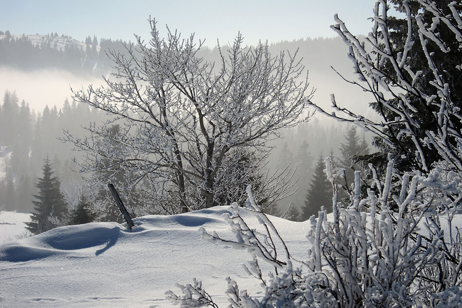 Traverse du Jura Franco-Suisse, Vers le Mont Tendre