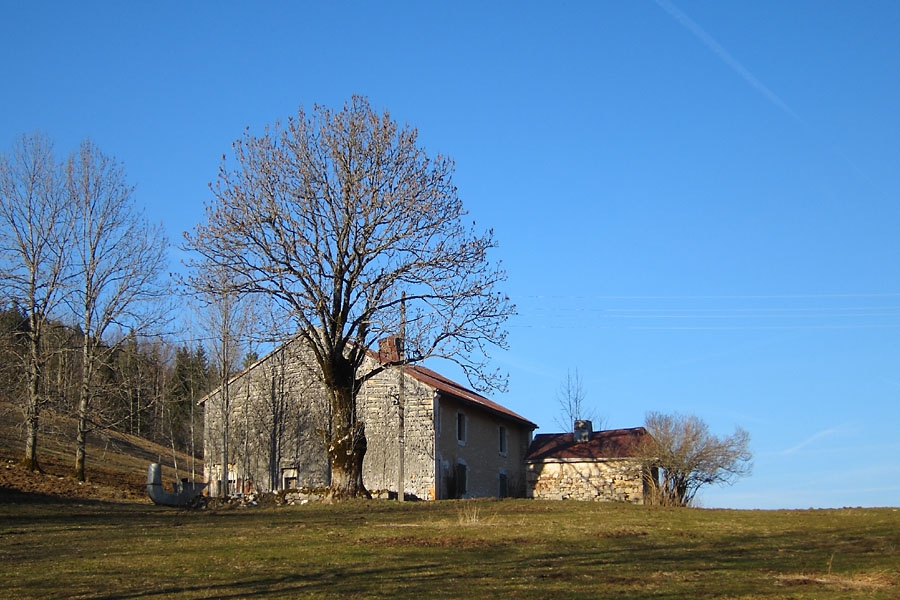 Traverse du Jura Franco-Suisse, descente sur Lelex