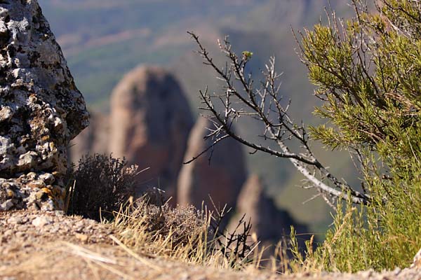 Autour de Riglos 2011, cadre