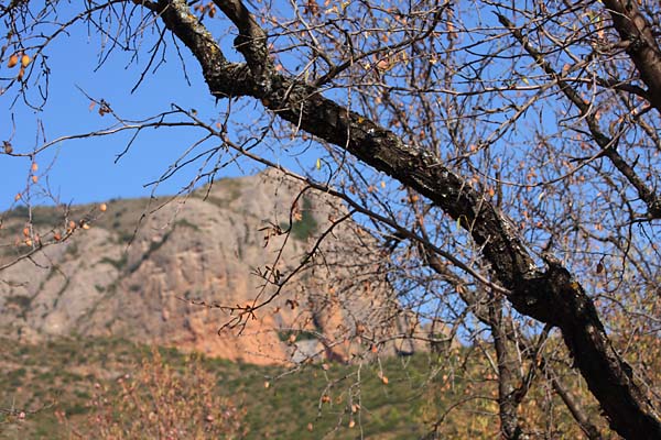 Autour de Riglos 2011, paroi