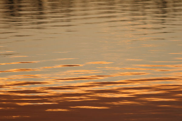 Reflet du soir aux tangs