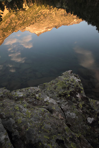 Laquettes 2014, reflet