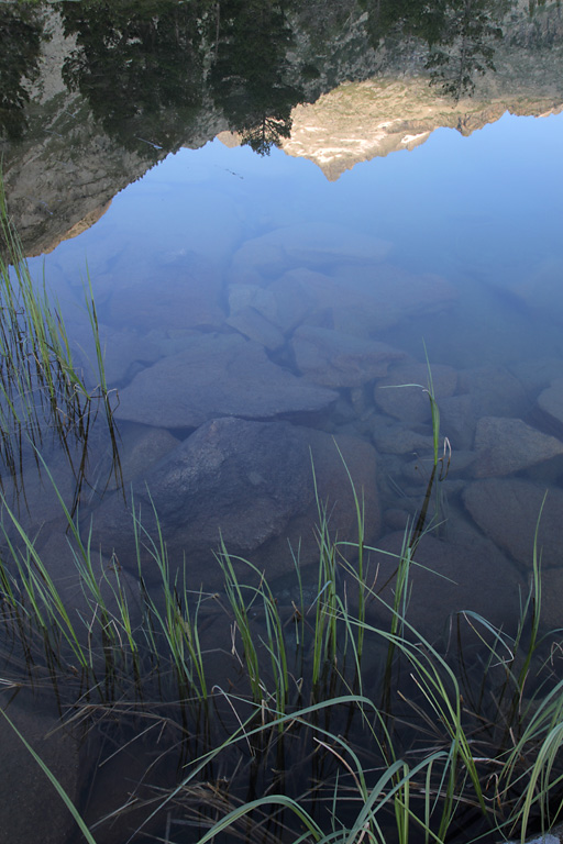 Laquettes 2014, reflet