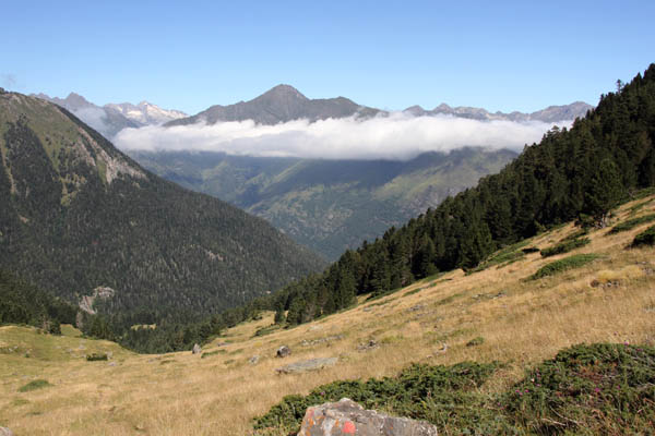 Paysage