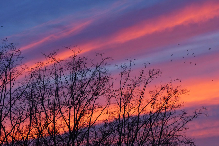 Ciel de feu