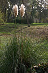 parc des larris, Pontoise