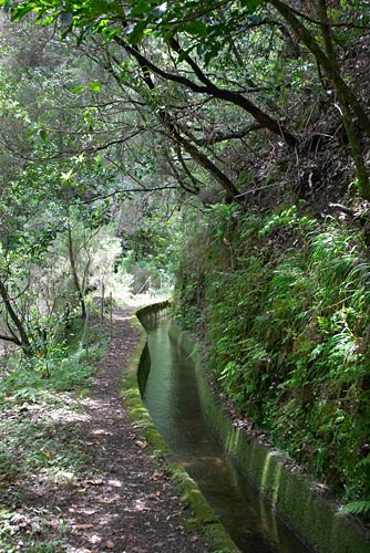 Levada de Ribeira da Janela