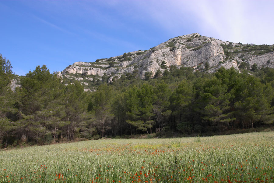 Randonne en Luberon, Petit Luberon