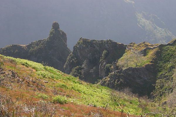 Pico Grande, paysage