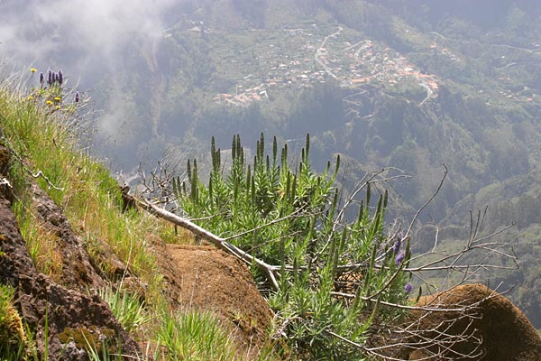 Pico Grande